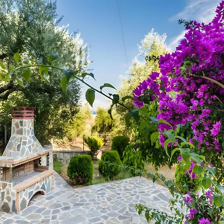 Tamar Apartments, ゲストハウス 3*